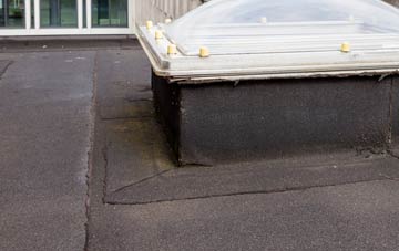 disadvantages of Buryas Br flat roofs