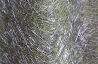 Buryas Br fibreglass roof work