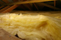 Buryas Br pitch roof insulation